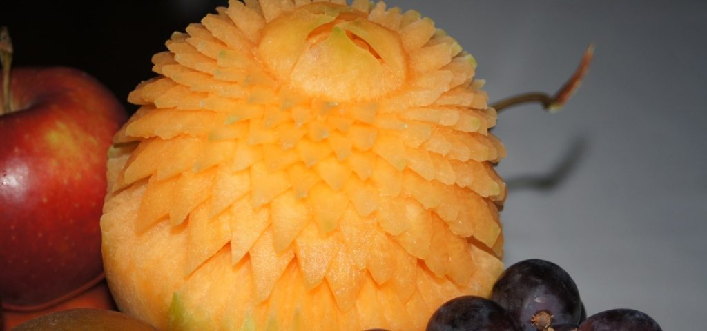 Aster w melonie Cantaloupe