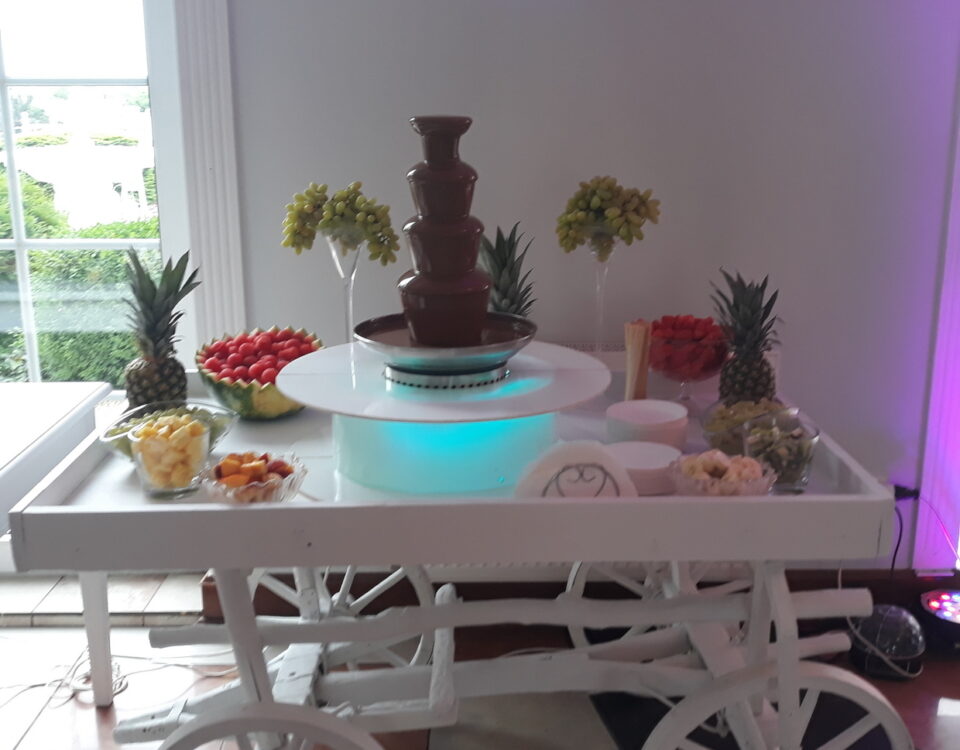 fontanna czekoladowa, owoce na wesele, fontanna z czekolady, fontanna alkoholowa Carny Tulipan Koszalin